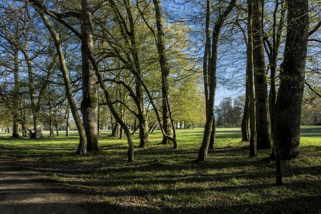 Chateau Des Briottieres Champigné Exteriör bild